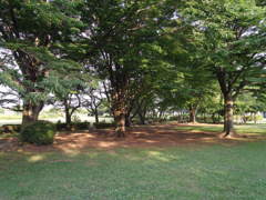 2017/07/09_さきたま古墳公園