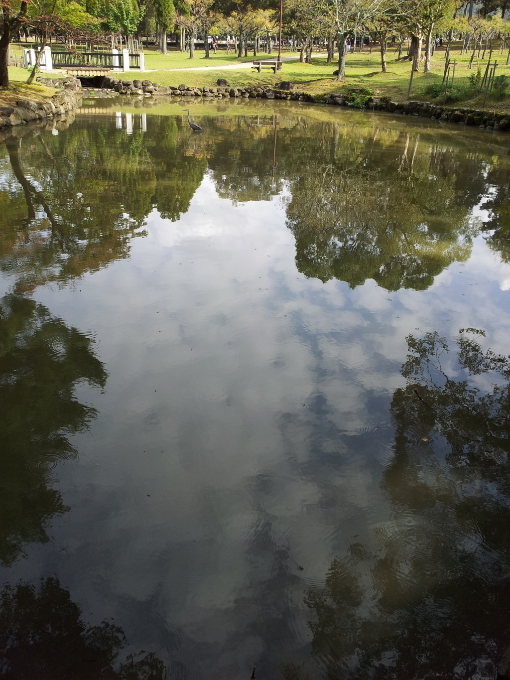 2016/10/18_奈良公園 浅茅ヶ原園地の池に空