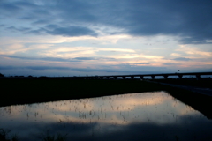 2016/07/24_水田の夕暮れ