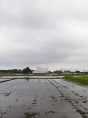 2017/05/27_水田の曇天と伊奈町クリーンセンター
