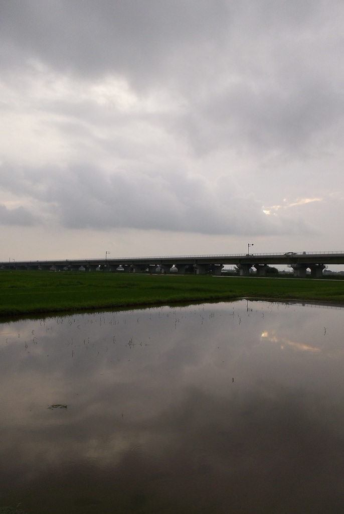 2015/07/05_水田に曇天