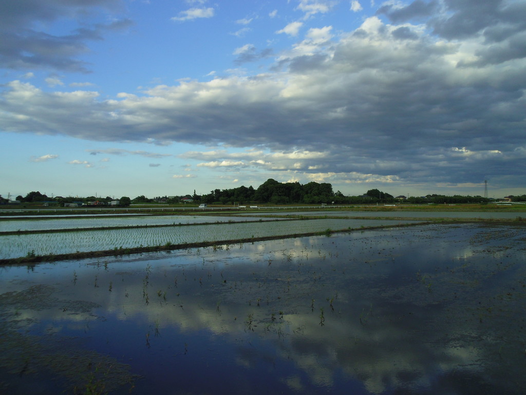 2017/06/04_水田に雲