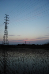 2016/06/18_水田の夕暮れ