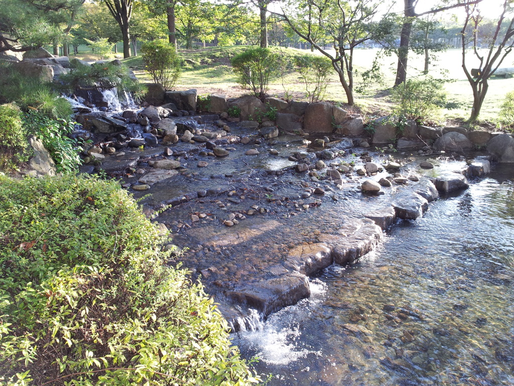 2017/10/26_瀬戸大橋記念公園 浜栗林 甲之池への流れ