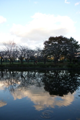 2015/11/03_岩槻城址公園