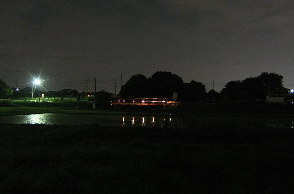 2014/06/22_夜の鶏舎