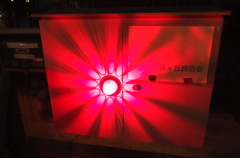 2015/01/12_夜の花