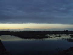 2017/02/18_溜め池の夕暮れ