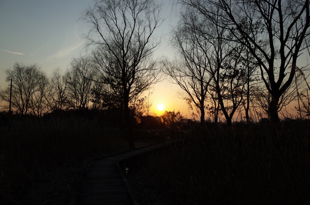 2015/02/11_ホタルの里