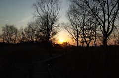 2015/02/11_ホタルの里