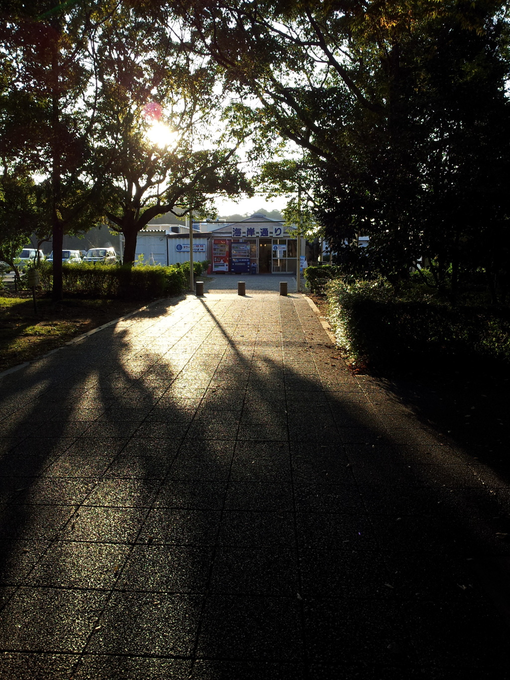 2017/10/26_西日を浴びる瀬戸大橋記念公園