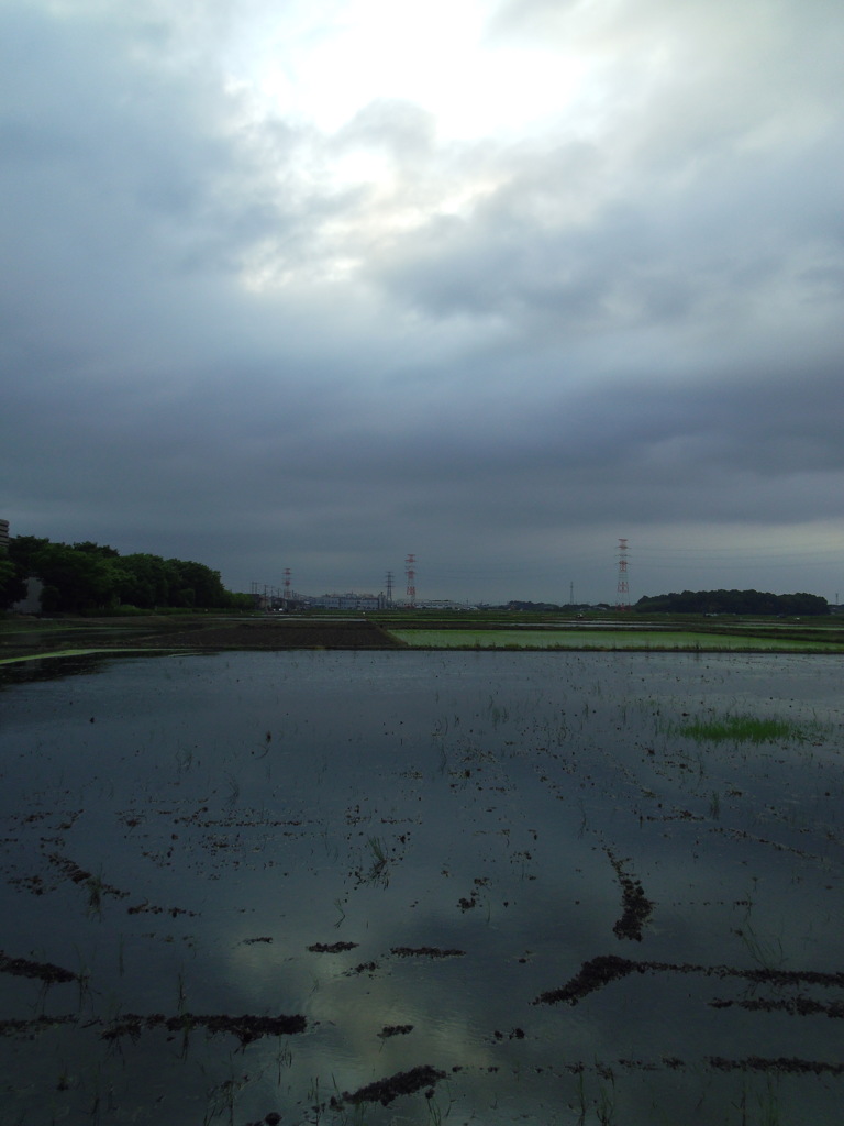 2017/05/27_水田の曇天