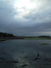 2017/05/27_水田の曇天