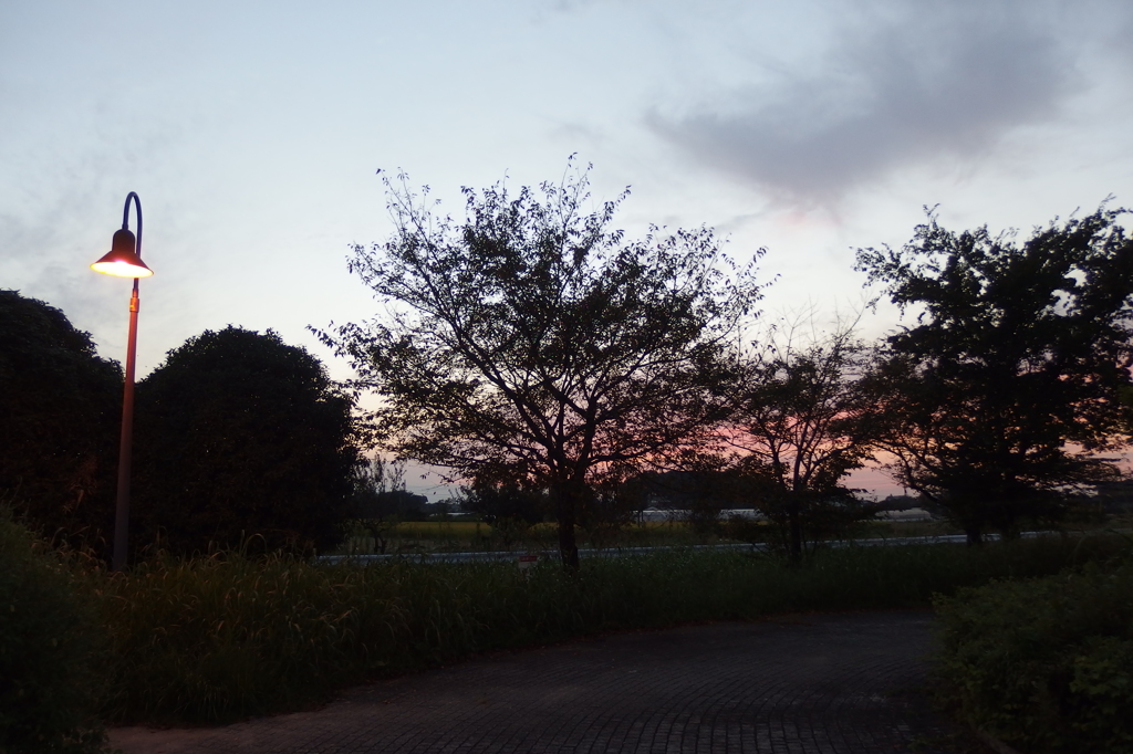 2015/10/03_夕暮れ