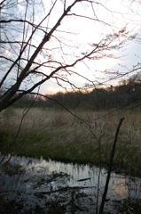 2016/03/26_北本自然観察公園