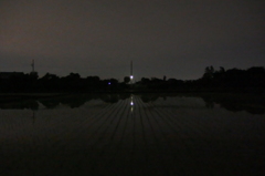 2015/05/23_夜の水田