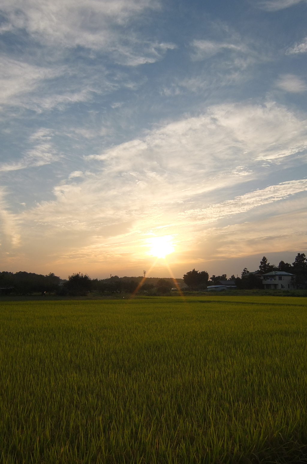 2015/10/03_夕日