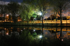 2014/12/06_夜の北本総合公園