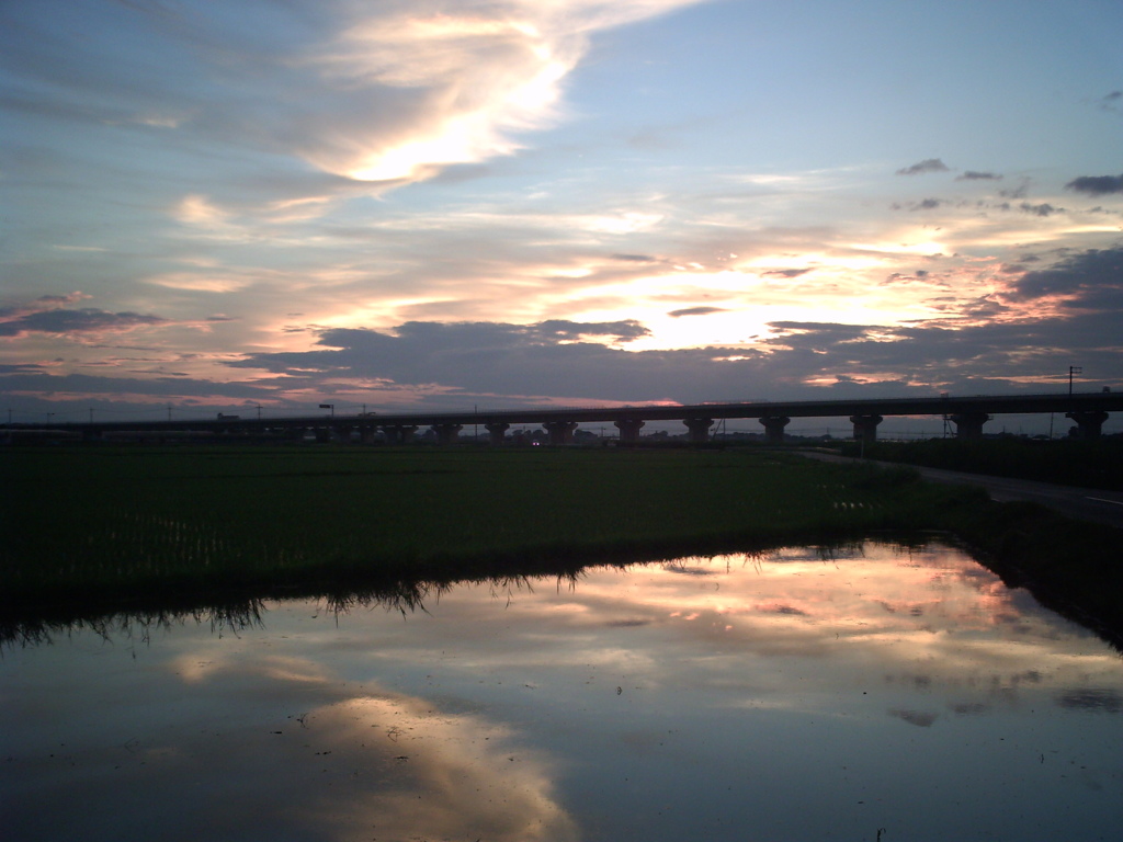 2015/07/19_水田の夕暮れ