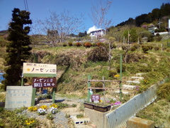 2018/04/08_花桃の郷