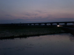 2015/07/11_水田の夕暮れ