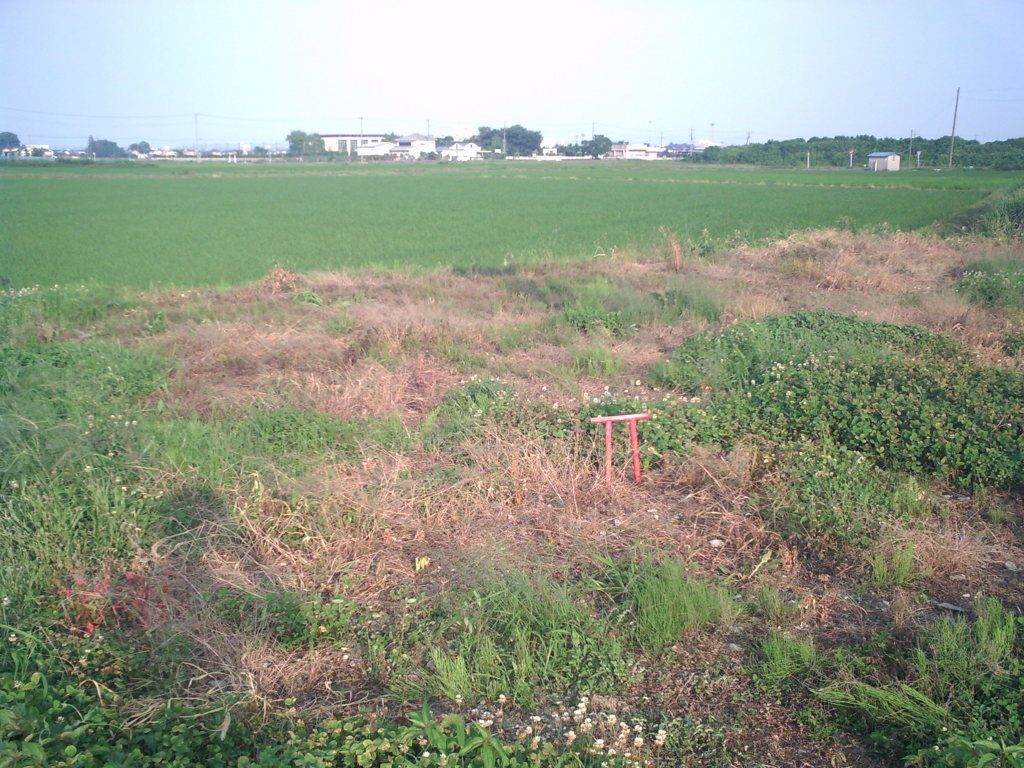 2015/07/12_小さな鳥居