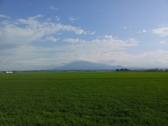 2018/07/15_田園と岩木山