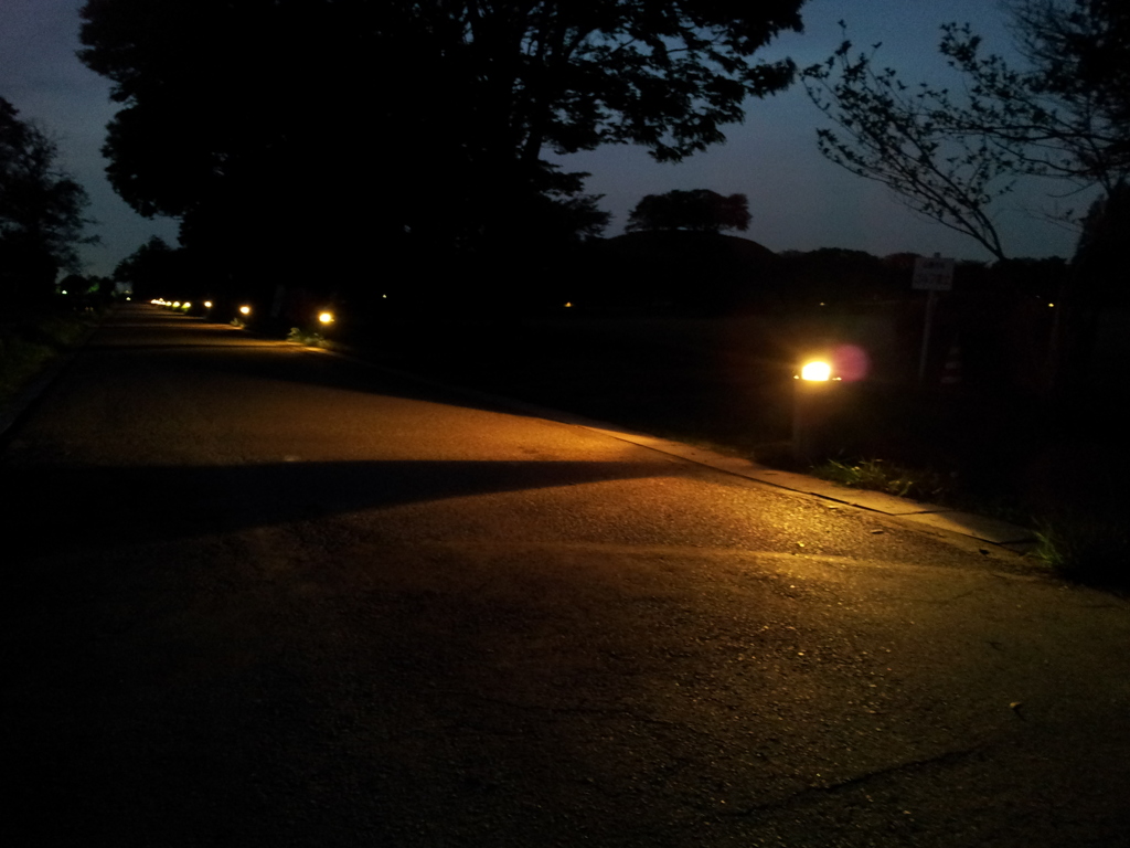 2016/04/24_夜のさきたま古墳公園