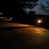2016/04/24_夜のさきたま古墳公園