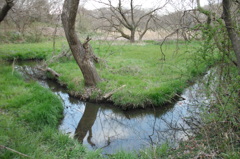 2016/03/26_北本自然観察公園