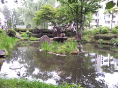 2016/07/16_盛岡城跡公園（岩手公園）鶴ケ池
