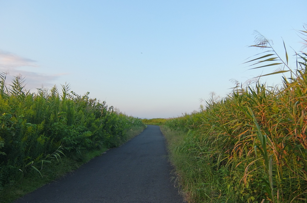 2014/09/28_続く道