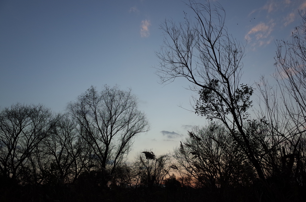 2015/12/31_夕暮れ