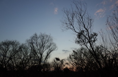 2015/12/31_夕暮れ