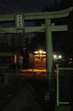 2015/01/24_夜の氷川神社