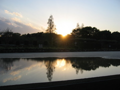 2017/04/23_花の丘農林公苑の夕暮れ