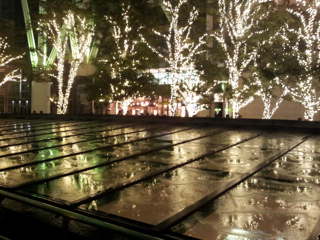 2013/11/16_夜の東京ミッドタウン