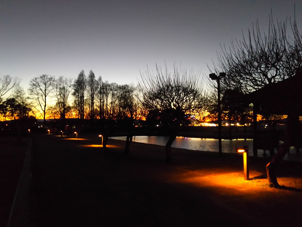 2016/12/30_さきたま古墳公園の夕暮れ