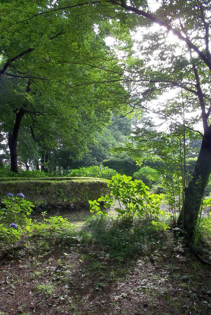 2015/07/05_伊奈アジサイ園