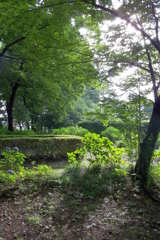 2015/07/05_伊奈アジサイ園