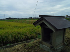 2016/10/10_田園地帯の祠