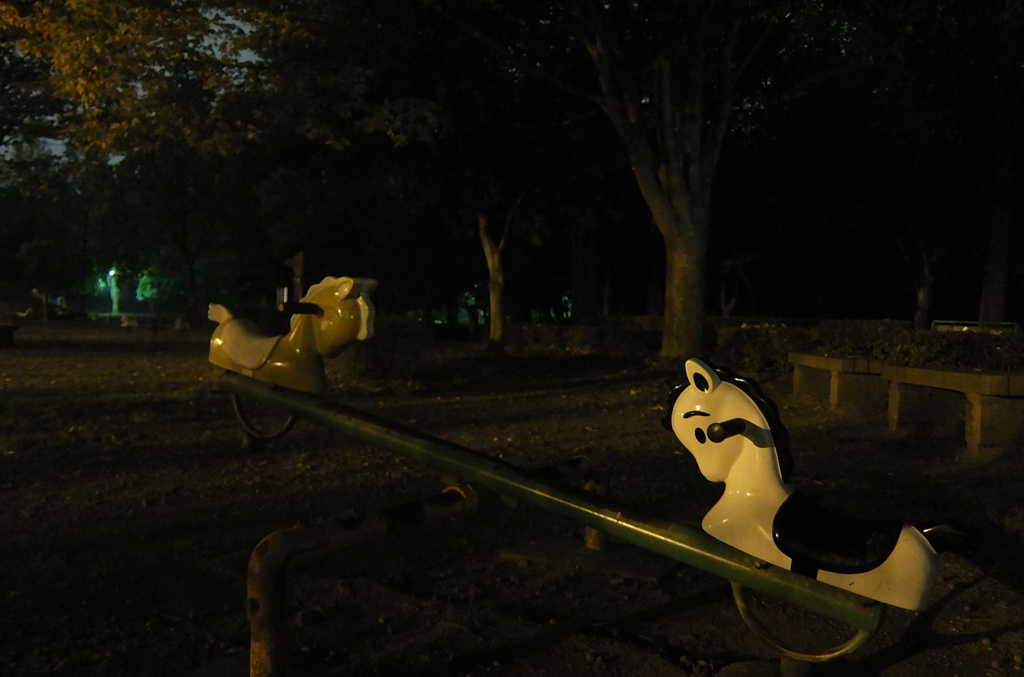 2014/11/08_夜の伊奈町制施行記念公園