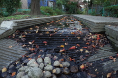 2014/11/15_鴨川みずべの里