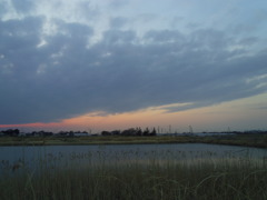 2017/03/25_溜め池の夕暮れ