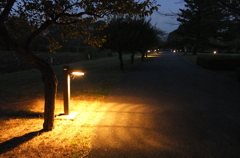 2014/10/19_夕暮れのさきたま古墳公園