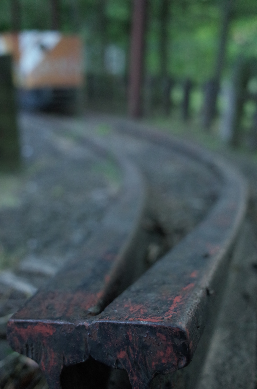 2016/04/30_トロッコ公園 天の川ステーションのレールと機関車
