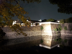 2017/10/27_夜の大阪城