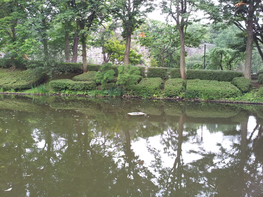 2018/07/15_盛岡城跡公園（岩手公園）亀ケ池の亀