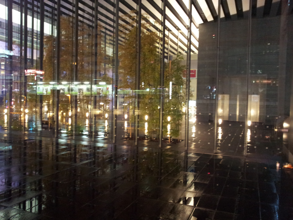 2014/11/26_夜、雨上がりの秋葉原