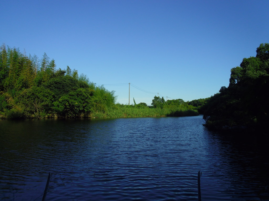 2016/08/07_荒川支流